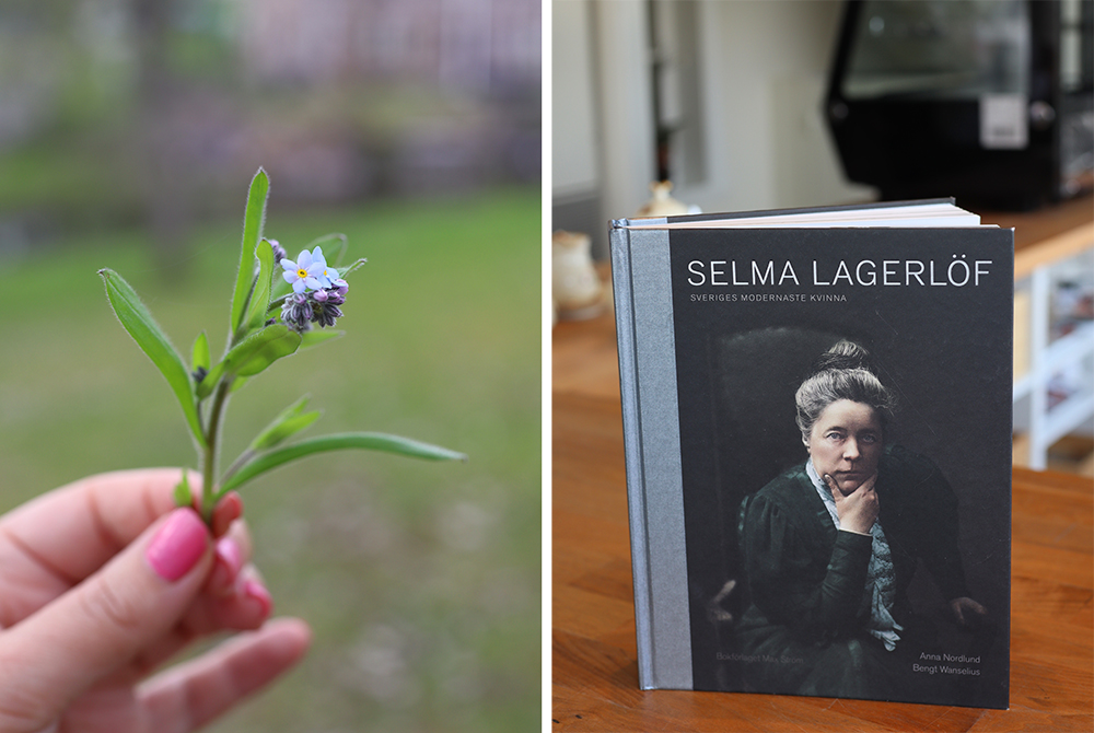 Om forfatterne og litteraturen